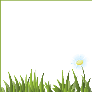 Flower Petal Animated Border