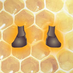 Beekeeping Shoes