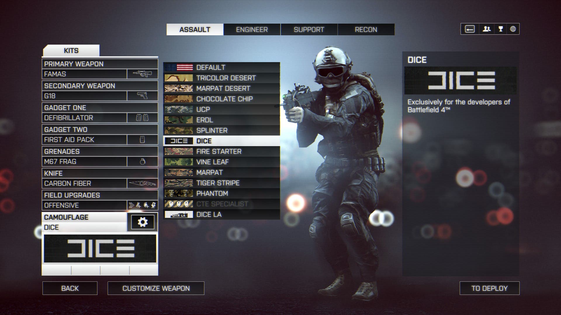 BF4 - DICE skin unlocked
